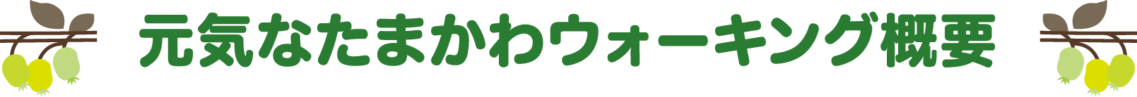 元気なたまかわウォーキング概要